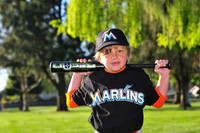 TBMarlins016