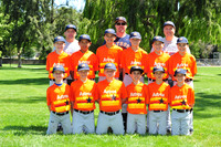 AAA ASTROS