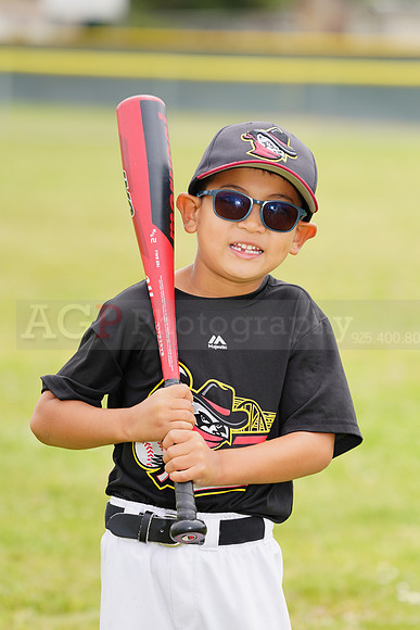AGP09041