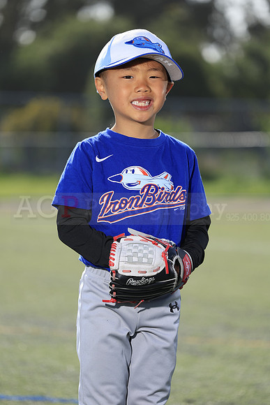 SB_TB_IronBirds032