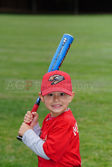 PLL_TBall_Grizzlies00064