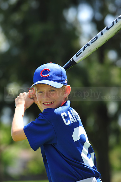 Major_Cubs103