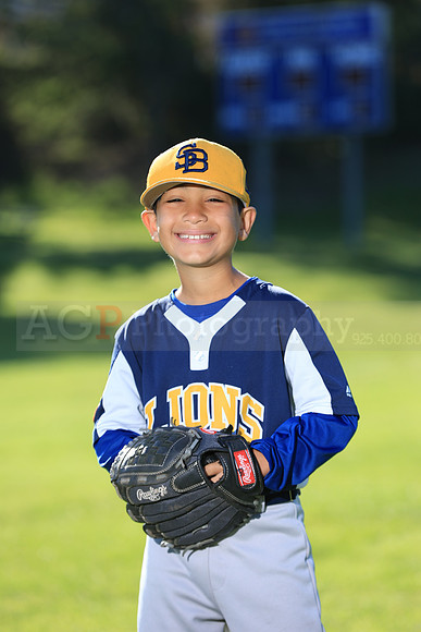 PWLions00028