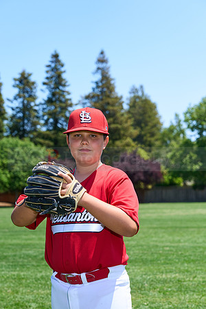 PLL_M_Cardinals00082
