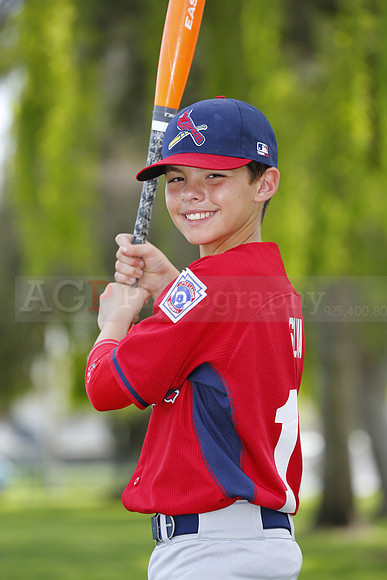 MCardinals046