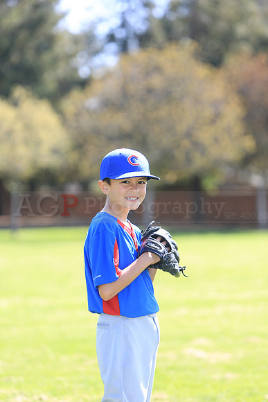 AAACubs002