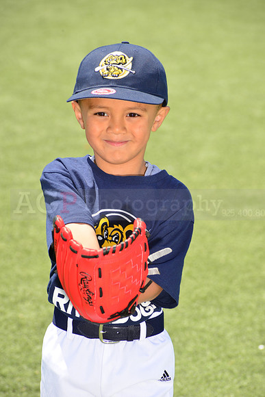 SB_TB_Riverdogs00001