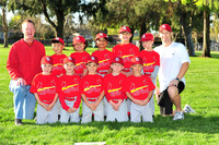 FARM CARDINALS