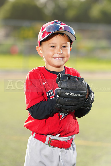 SB_TB_Bats025