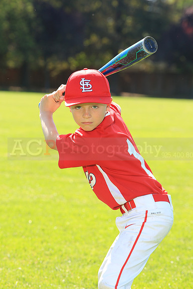 PLL_AAA_Cardinals00032