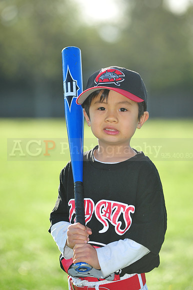 TBMudcats064