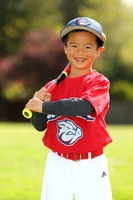 T-BALL IRON PIGS