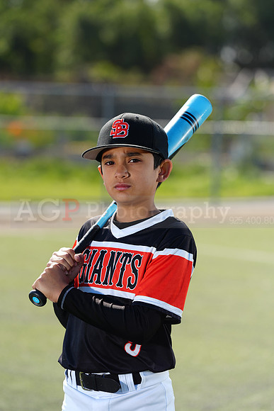 SB_BR_Giants026