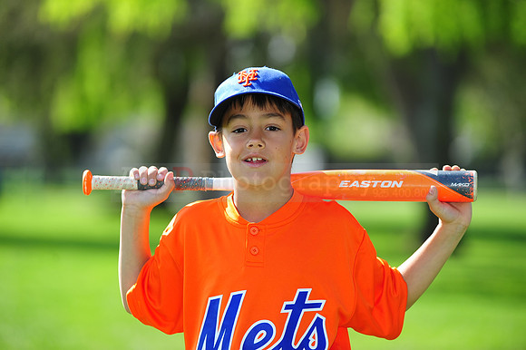 AA METS034