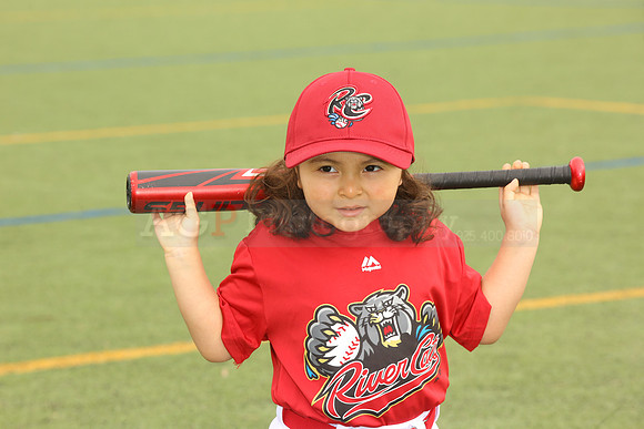 SB_TB_Ironpigs00047