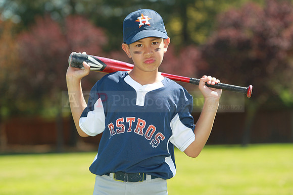 AAAstros010