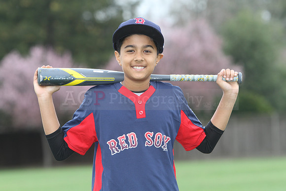 AAARedsox041