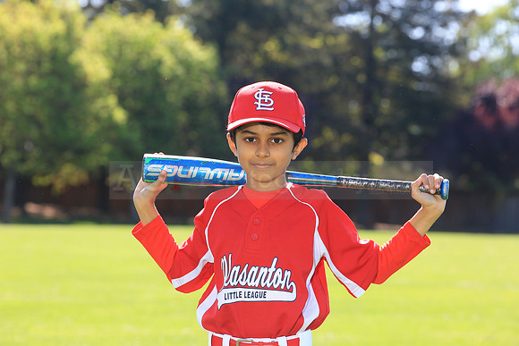 PLL_AAA_Cardinals00045