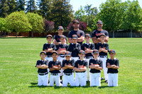 AA GIANTS
