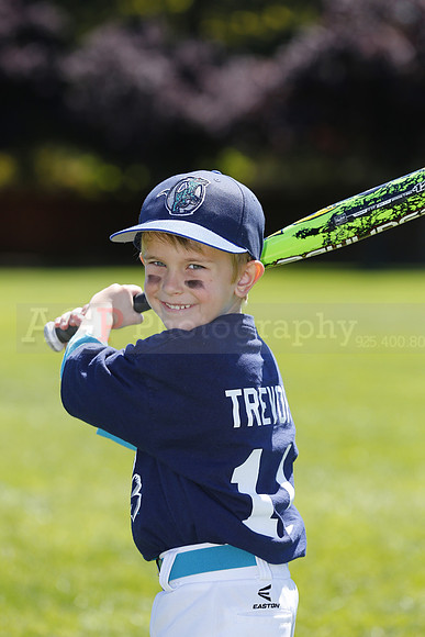 TBRaptors043