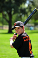 MajorGiants017
