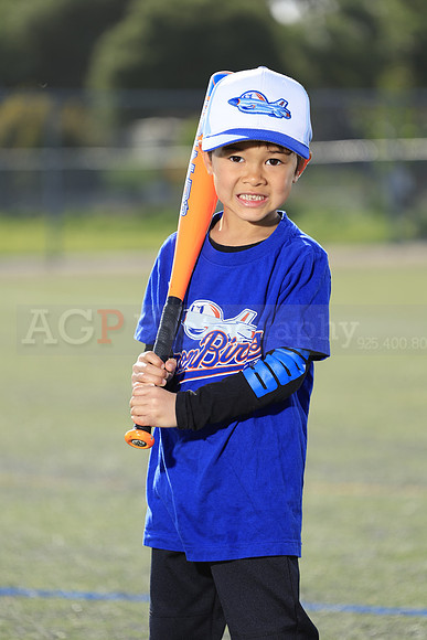 SB_TB_IronBirds015