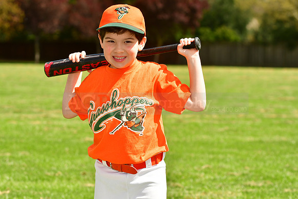 FMGrasshoppers024