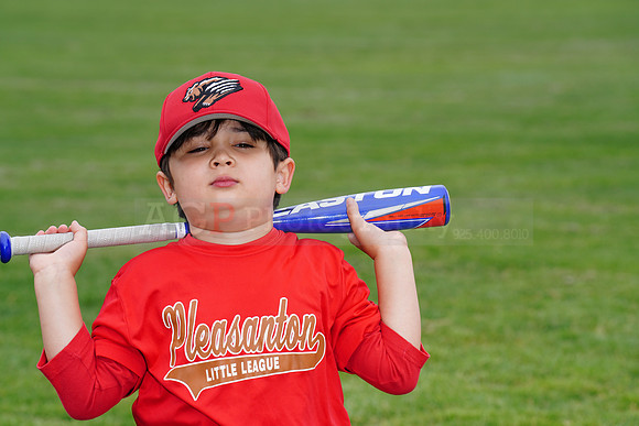 PLL_TBall_Grizzlies00081