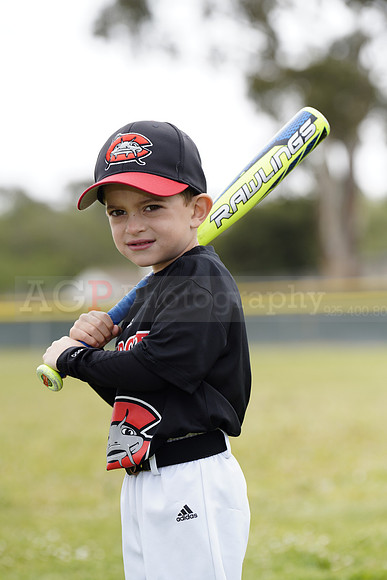 TBMudcats00171