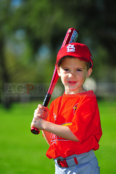 TBall_Cardinals005