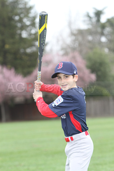 AAARedsox062