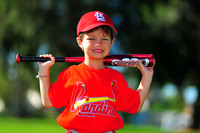 TBall_Cardinals061