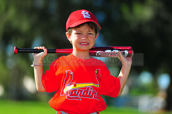 TBall_Cardinals061