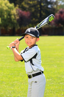 PLL_A_Whitesox00003