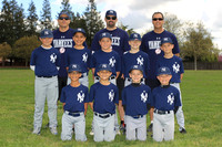 AA YANKEES