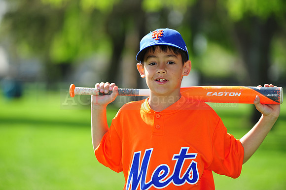 AA METS033