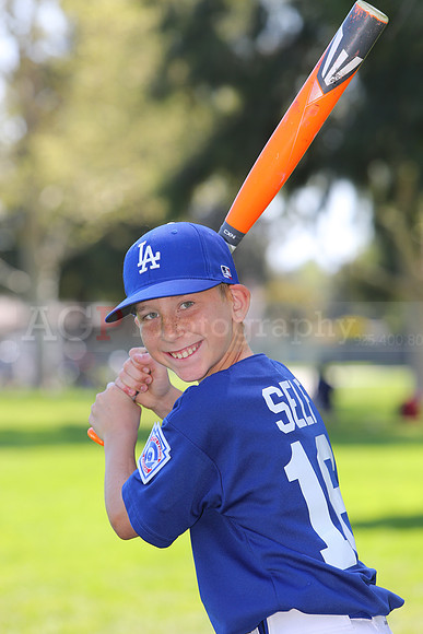 MajorDodgers049