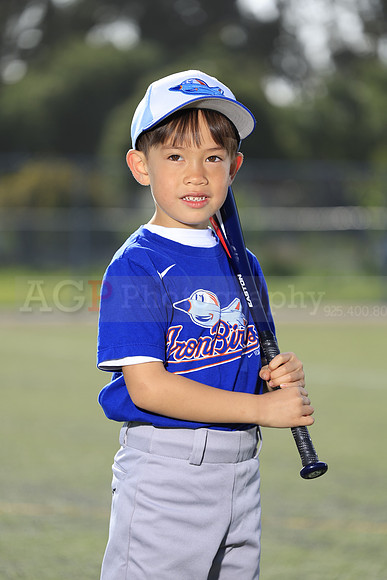 SB_TB_IronBirds030