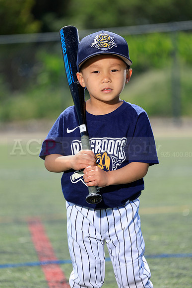 SB_TB_Riverdogs66