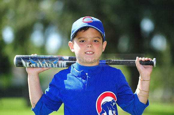 AA_Cubs091