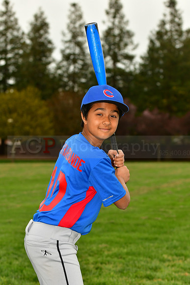 AAACubs068