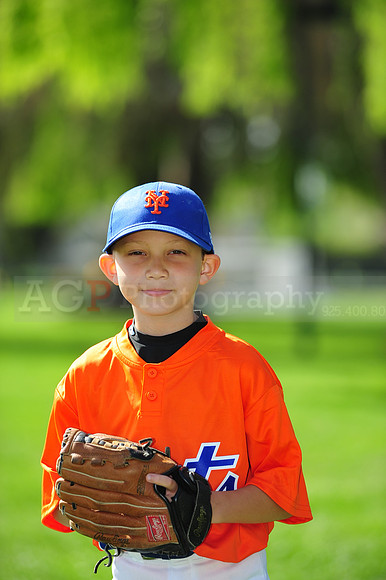 AA METS008