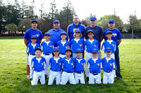 AA BLUE JAYS