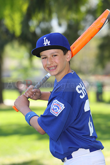 MajorDodgers014