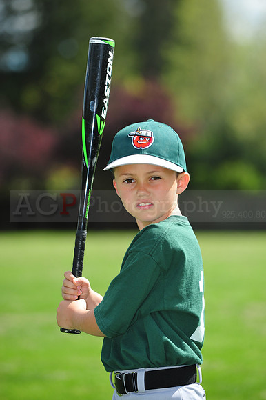 FmTinCaps044
