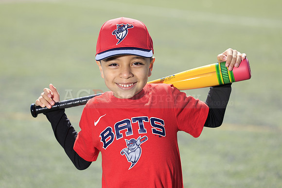 SB_TB_Bats018