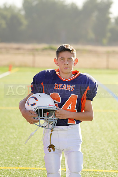 Bears00024