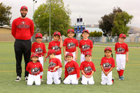 T-BALL IRON PIGS