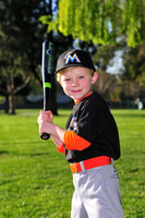 TBMarlins004