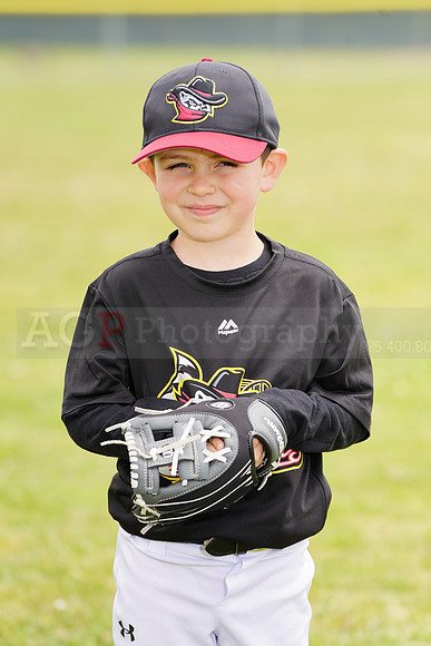 AGP09079